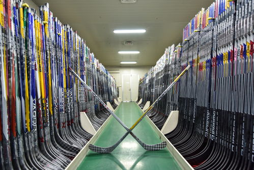 干實體 看桐企︱波力科技 打造特色觀光工廠，推動產(chǎn)業(yè)融合發(fā)展