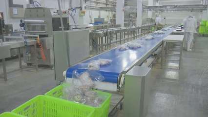 寧夏鹽池灘羊春節走俏市場，上海網絡技術助推品牌升級